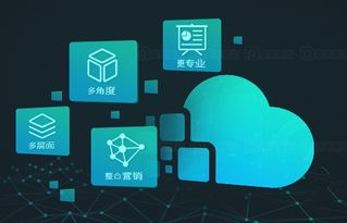 網(wǎng)絡(luò)推廣與互聯(lián)網(wǎng)銷售 選擇策略與核心重點解析